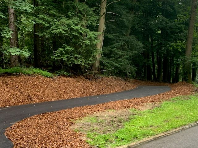 Mill creek bike trail deals