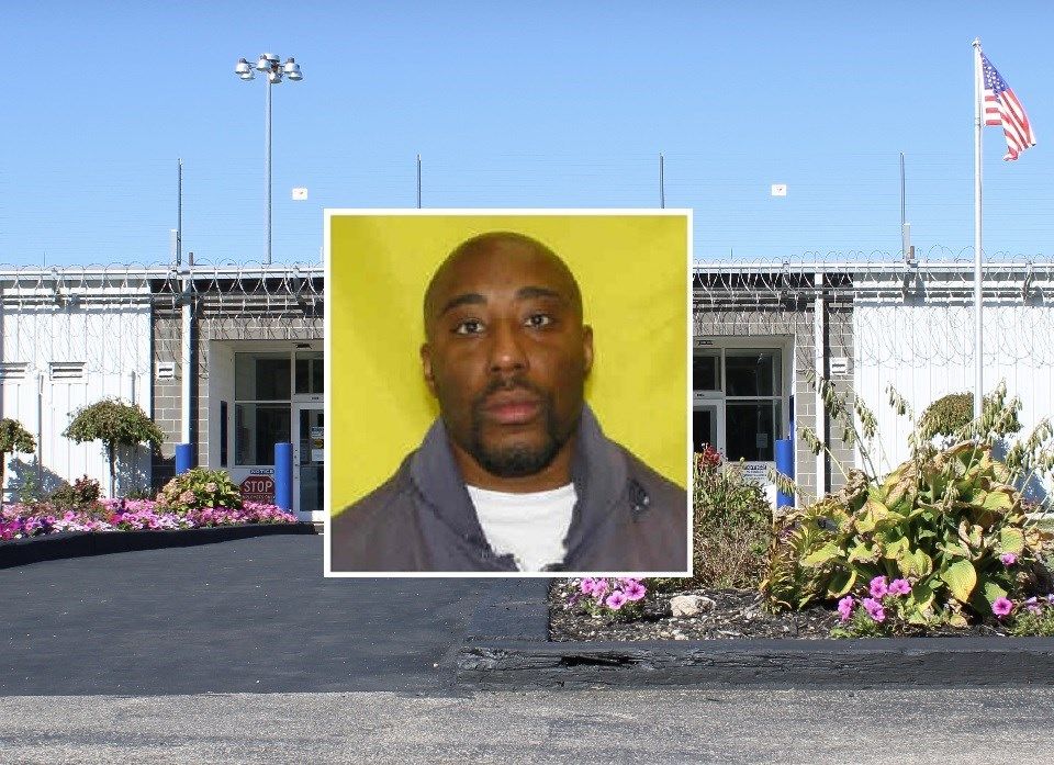 DeNicholas Stoutmire WEB