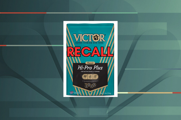 Some 5 pound bags of Victor dog food recalled due to Salmonella