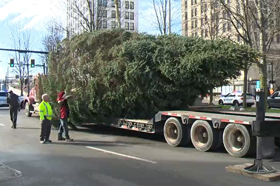 Christmas tree arrives in downtown Youngstown ahead of lighting