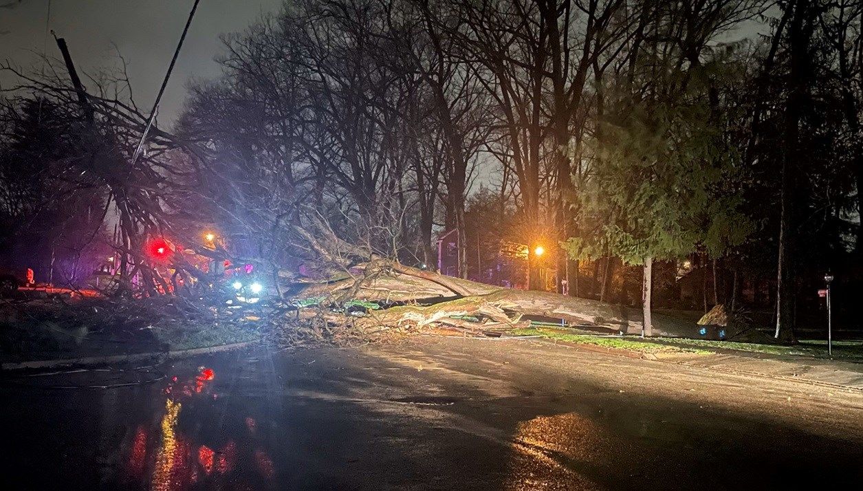 Wind gusts down tree on Youngstown's Westside, power out to more than