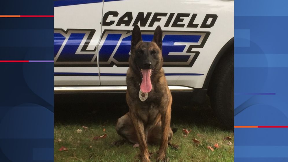 K9 Rocky, Canfield Police Department