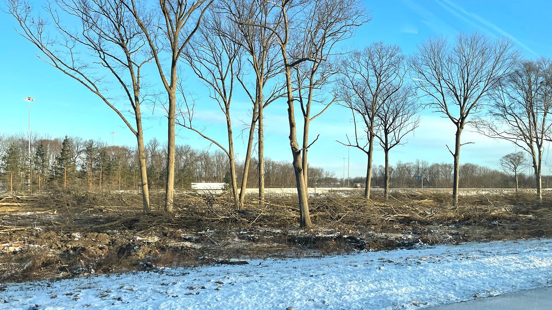 Weather 101: What Causes Wind?