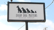 Every Dog Matters holding 7th annual Boardman Subaru Dog Adoption