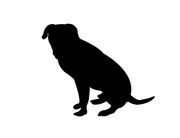 Warren Township pair plead not guilty in dog’s death