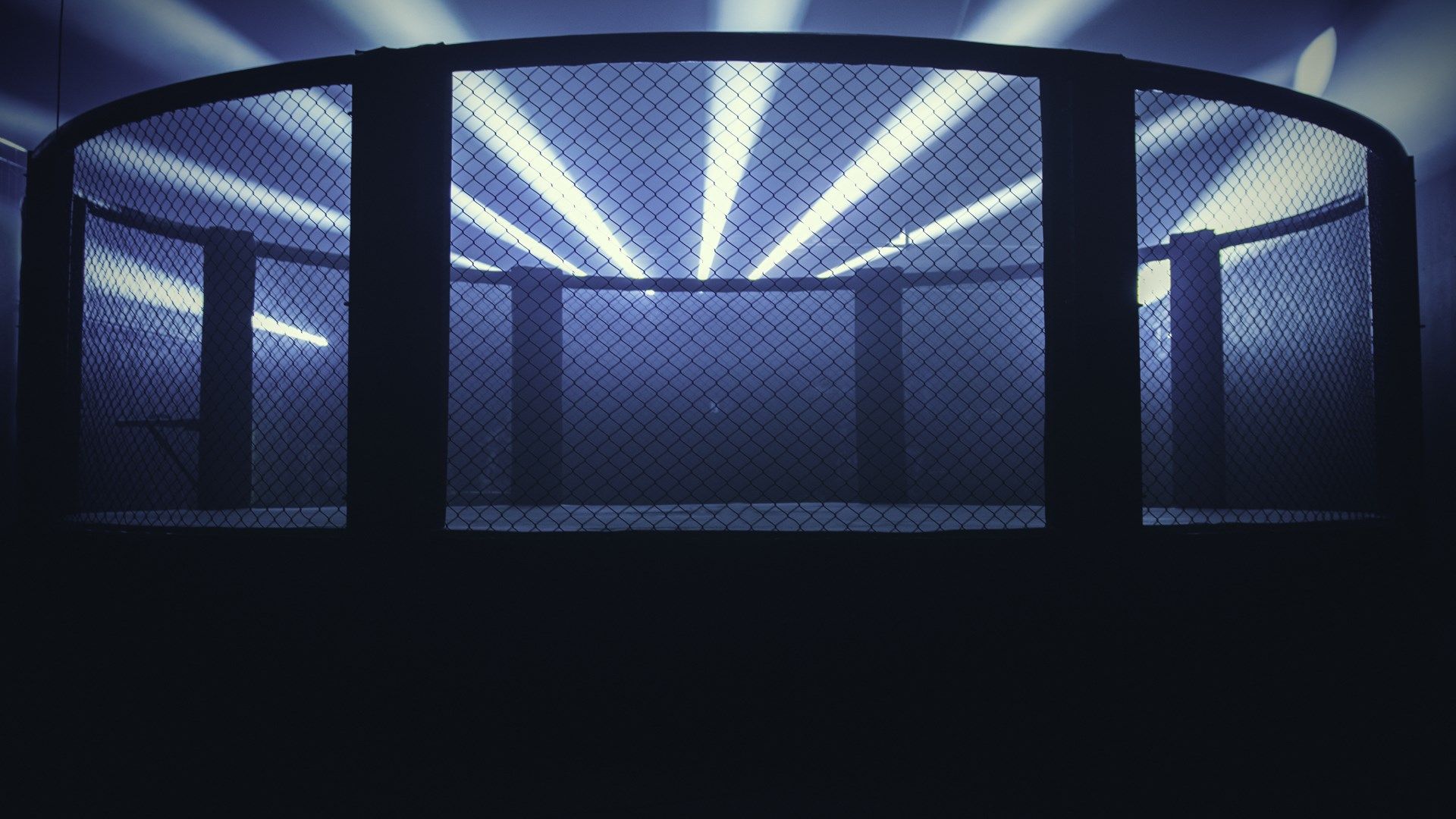 Penguin City Brewing to host mixed martial arts event April 19