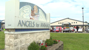 Angels for Animals kicks off 24th Christmas Sale season on Saturday