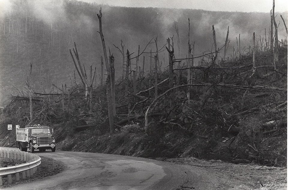 Trees damaged in Wheatland, PA in Mercer County