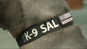Poland Township Police Department welcomes K-9 Sal to the force
