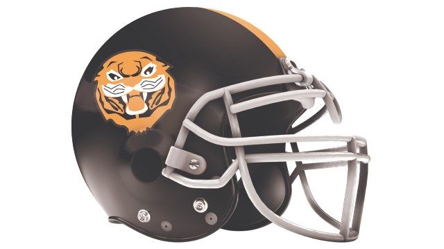 Newton Falls Tigers