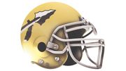 Warren Harding Raiders