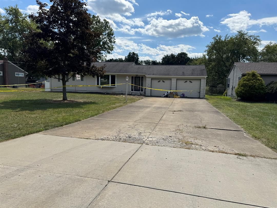 Nearly 20 cats, one dog found dead in Canfield home