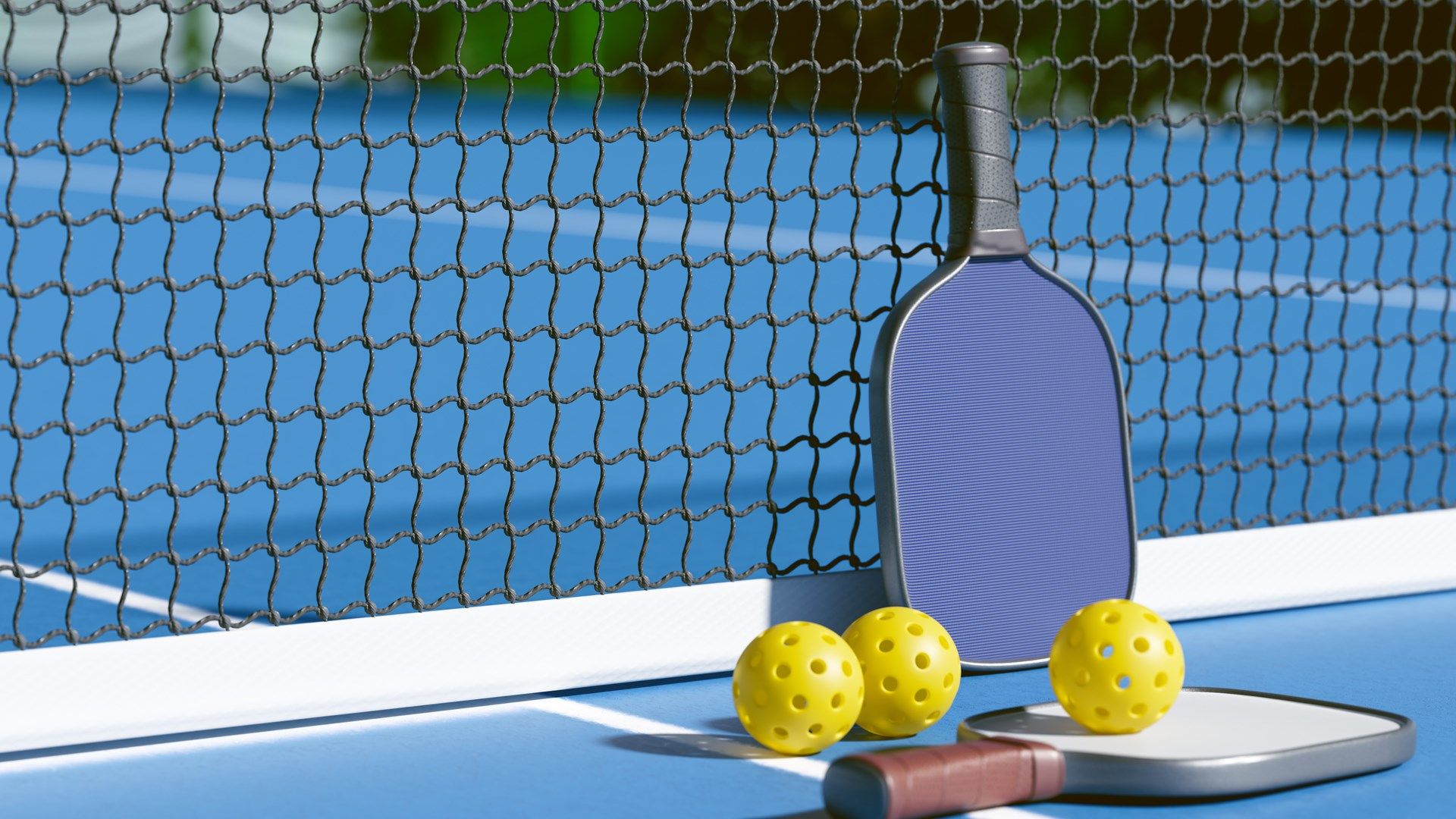 New pickleball club in Niles hosts grand opening celebration