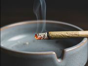 Girard mayor expected at marijuana dispensary ribbon cutting