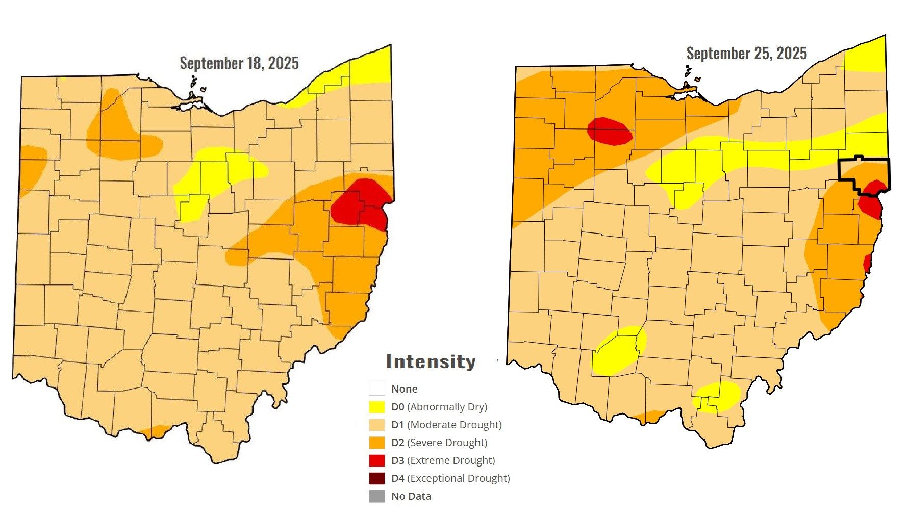 Recent rain lessens Valley drought