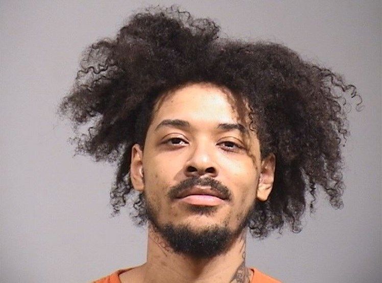 Niles Police, K9, chase domestic violence suspect into golf course pond