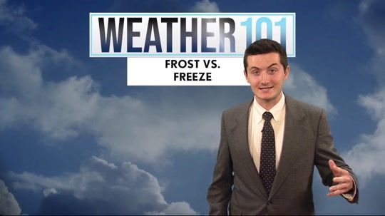 Weather 101: Frost vs. Freeze