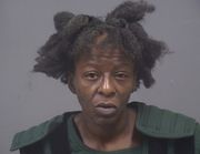 Youngstown woman sentenced to probation for endangering 11-year-old son