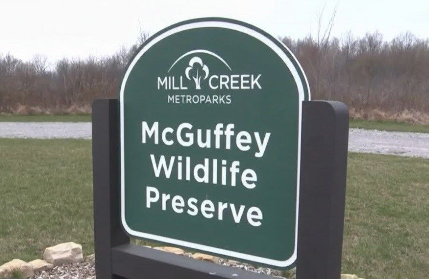 Youngstown Council considers call to restore McGuffey Wildlife Preserve