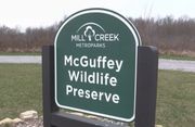 Youngstown Council considers call to restore McGuffey Wildlife Preserve