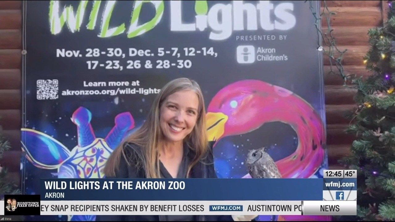 Wild Lights at Akron Zoo