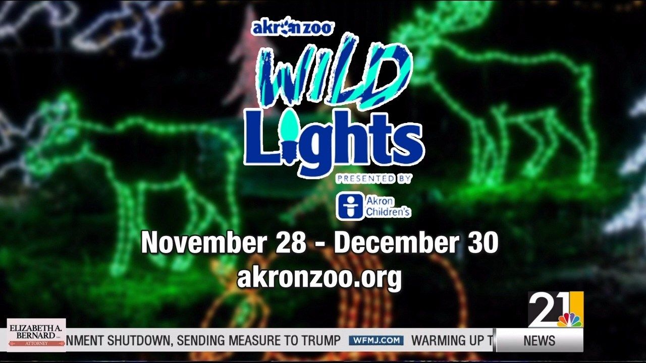 Wild Nights at the Akron Zoo
