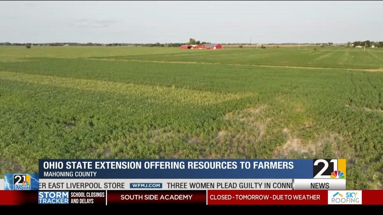 Ohio State Extension offering resources to help struggling farmers