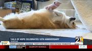 Tails of Hope in Hermitage celebrates 10th anniversary