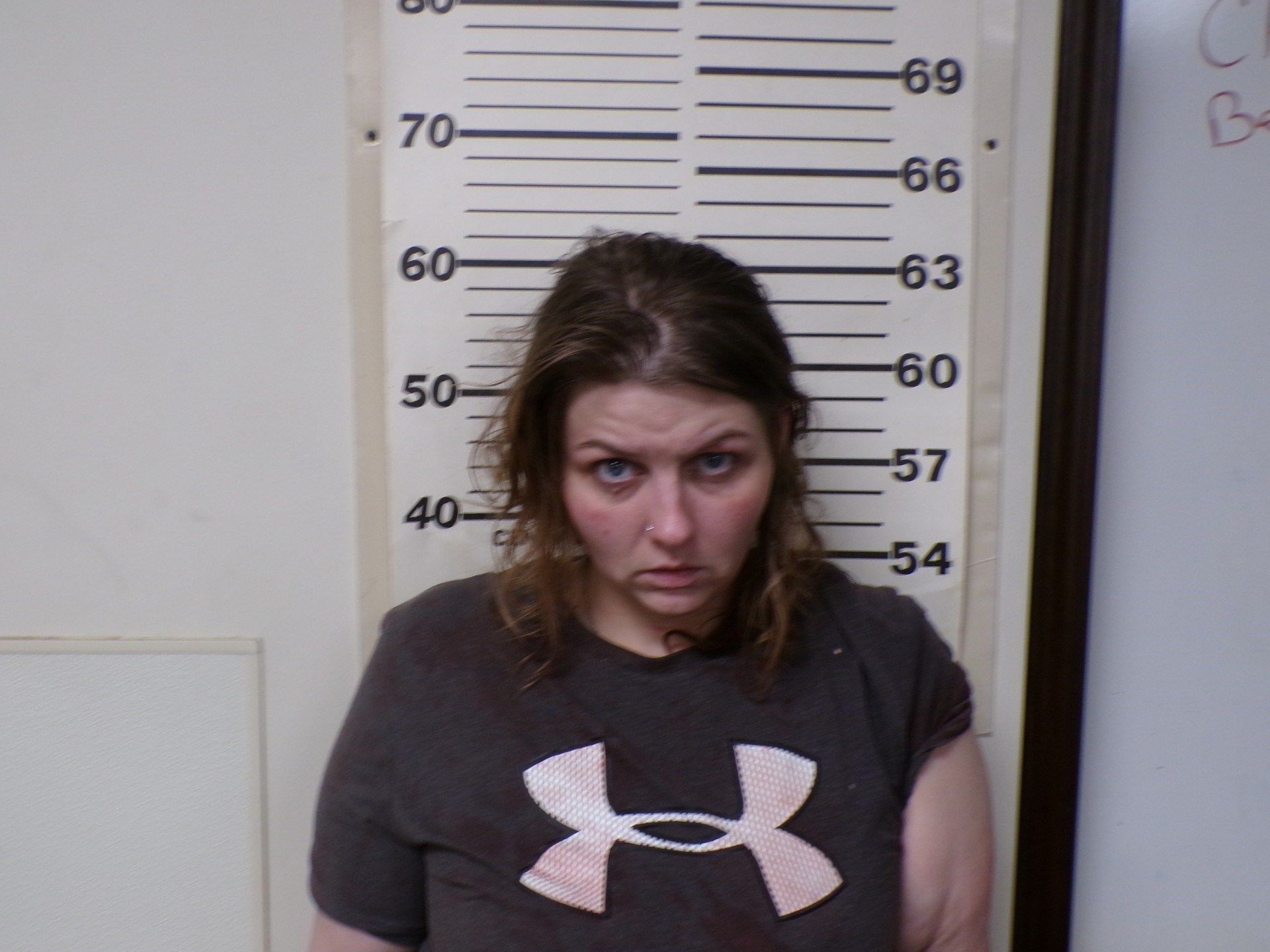 Lisbon woman accused of stabbing man in Smith Township home