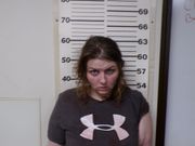 Lisbon woman accused of stabbing man in Smith Township home