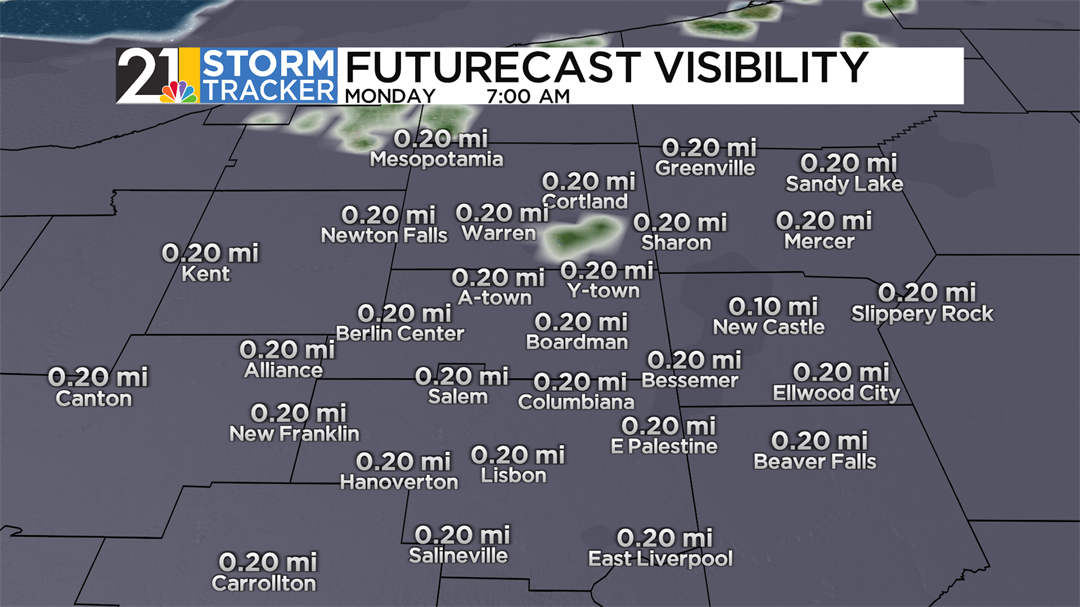 Dense fog to open the week, mild air will prevail