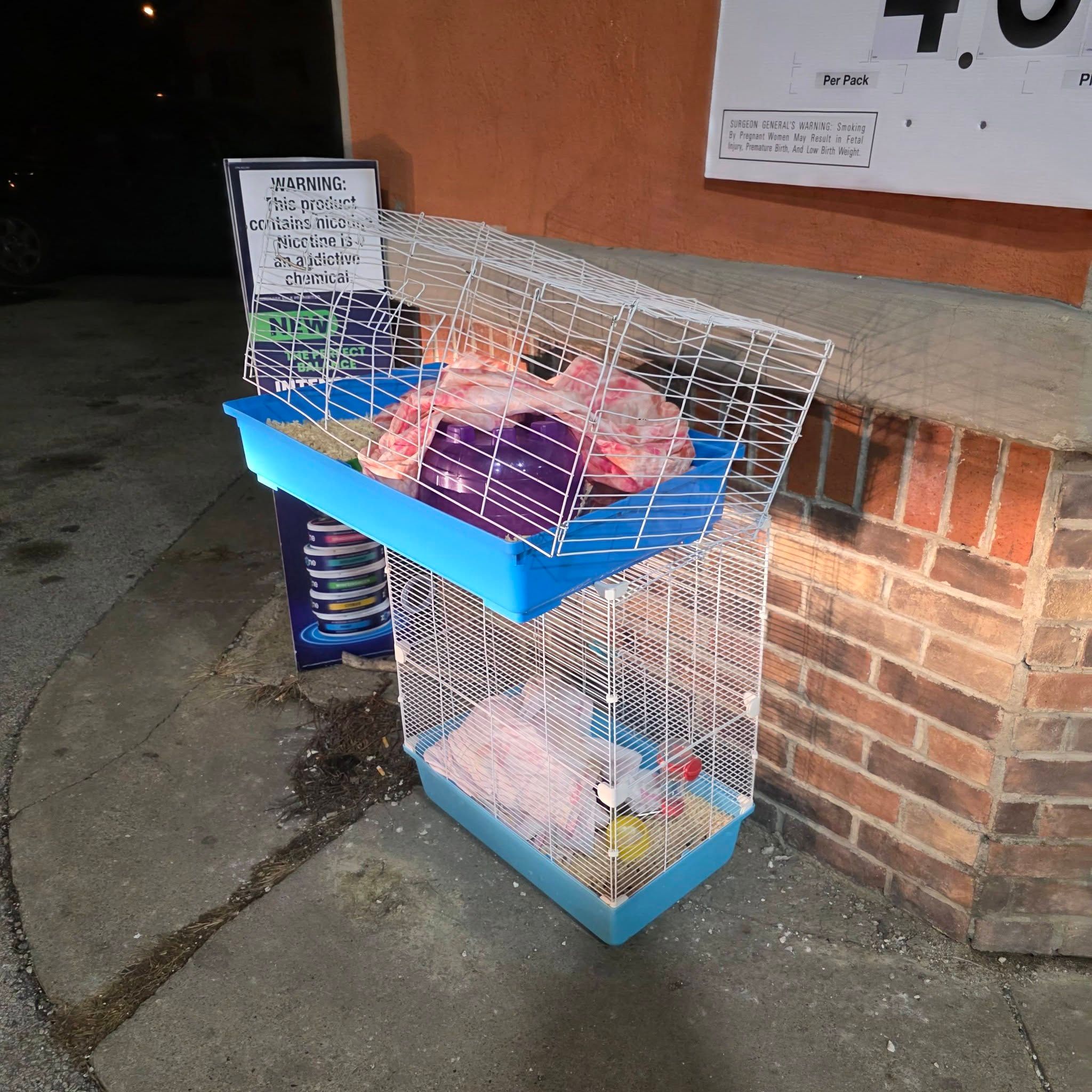 Animal shelter seeking information on abandoned guinea pigs found in Warren