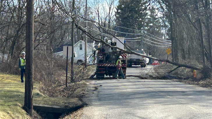 Portion of Turner Road closed in Austintown due to fallen tree