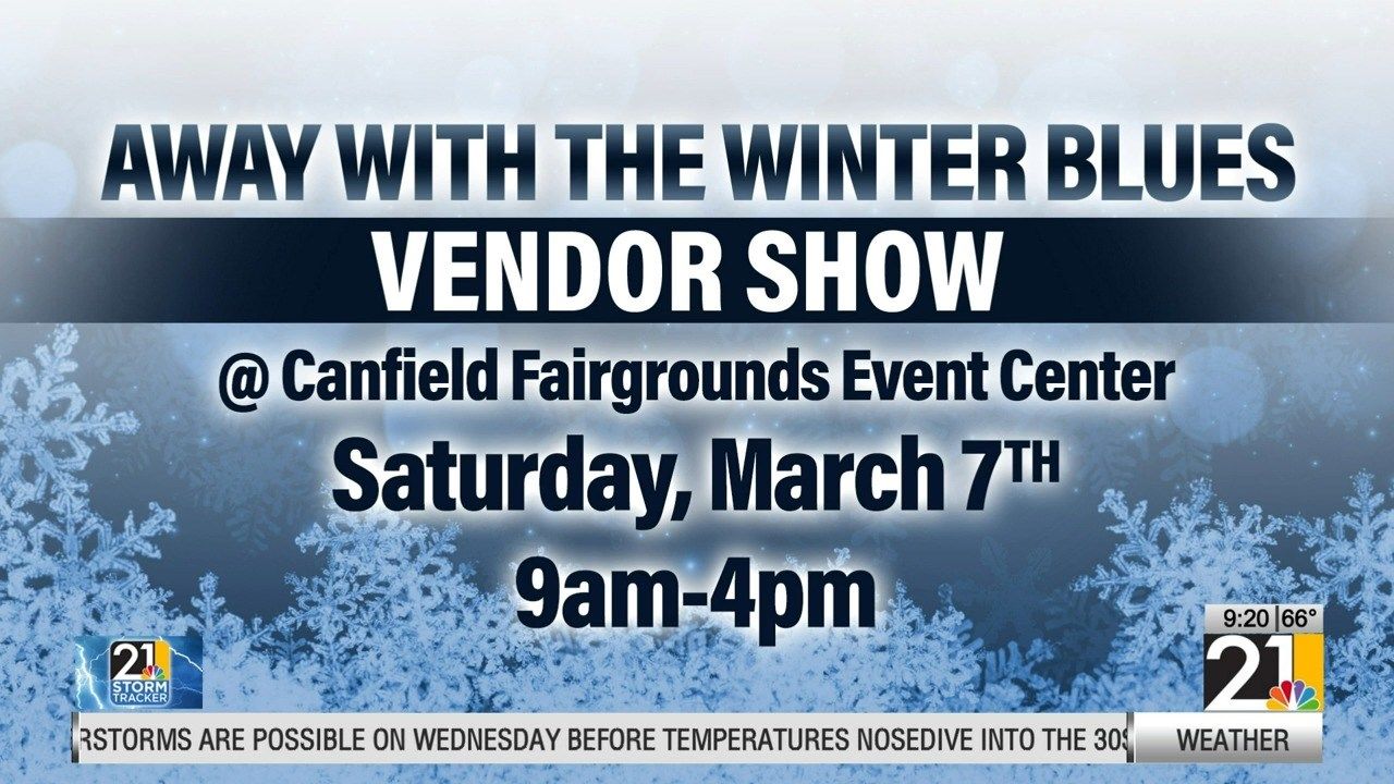 'Away with Winter Blues' vendor show in Canfield 1