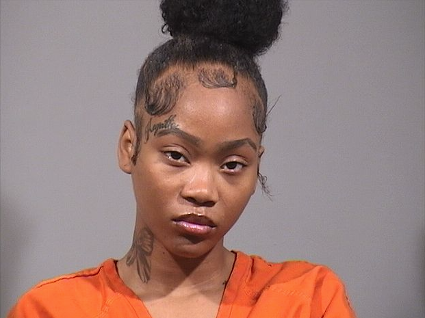 Woman sentenced for driving vehicle into crowd of people in Warren