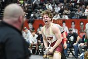 Five area wrestlers advance to state championship