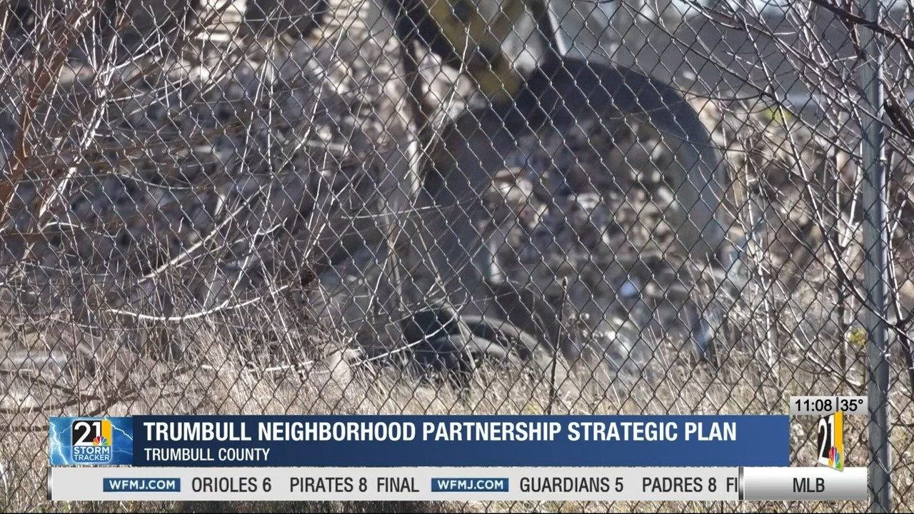 Trumbull Neighborhood Partnership strategic plan