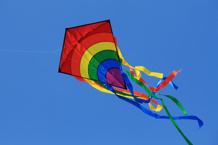Mill Creek Metroparks To Hold Kite Festival Presented By Wfmj W Wfmj Com Mill Creek Festival 2022