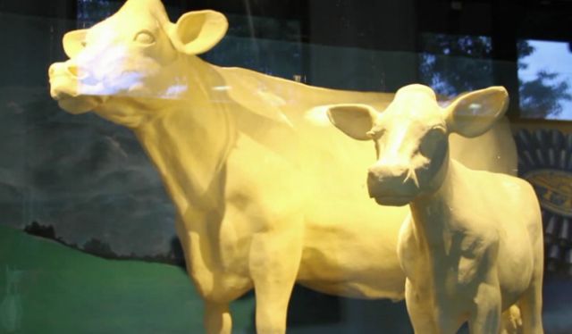 Big butter cow contest returns to Ohio State Fair 