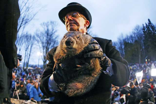 Groundhog doesn't see his shadow, predicting early spring - WFMJ.com