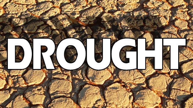 Drought Concerns Grow as 57% of Corn, 51% of Soybeans in the U.S. Now  Considered to Be in Drought | Drovers